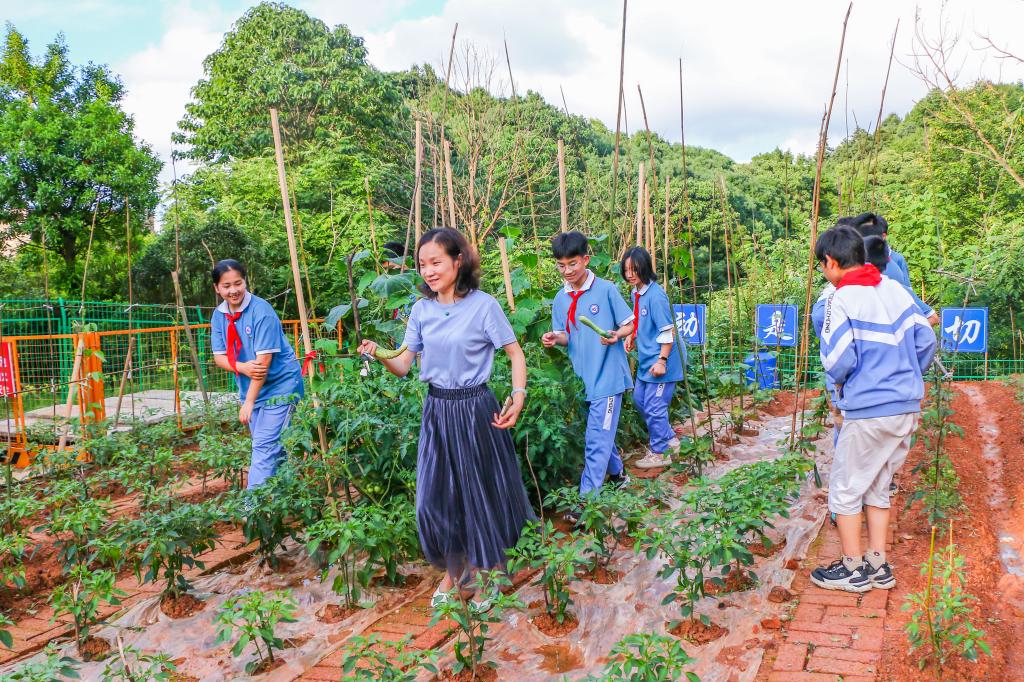 我们的耕读园开园啦